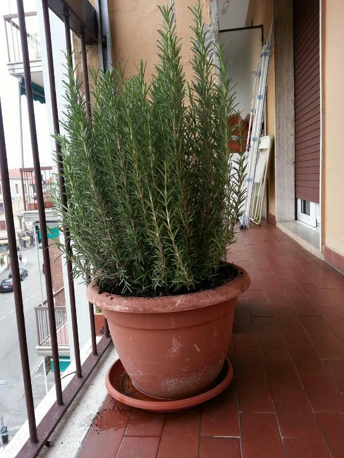 ホテル La Via Per Milano ヴィジェーヴァノ エクステリア 写真
